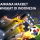 Panduan Taruhan Olahraga: Bagaimana Maxbet Meningkat di Indonesia Panduan Taruhan Olahraga: Bagaimana Maxbet Meningkat di Indonesia 2